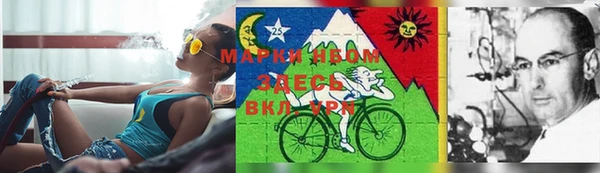 каннабис Алзамай